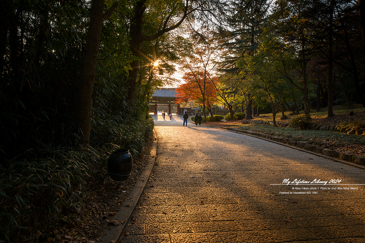 경주 불국사 단풍