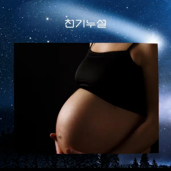 임신하는 꿈 해몽