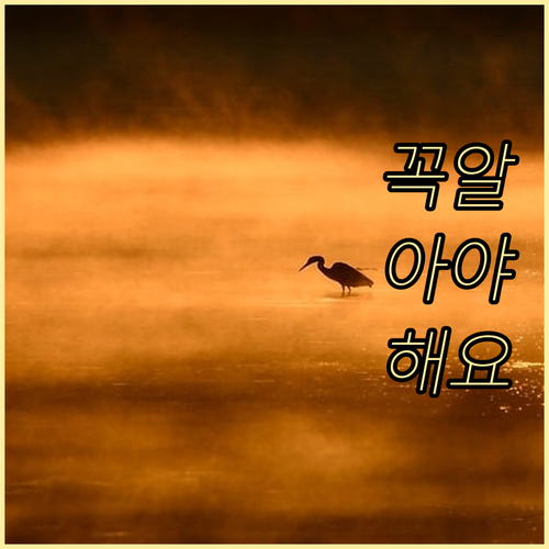 미국 여행 ESTA 지금 신청하면 2..