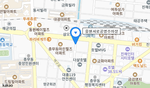 진해군항제 벚꽃축제 무료 주차장