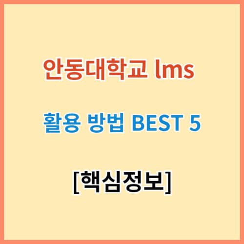 안동대 lms 활용방법 섬네일 이미지