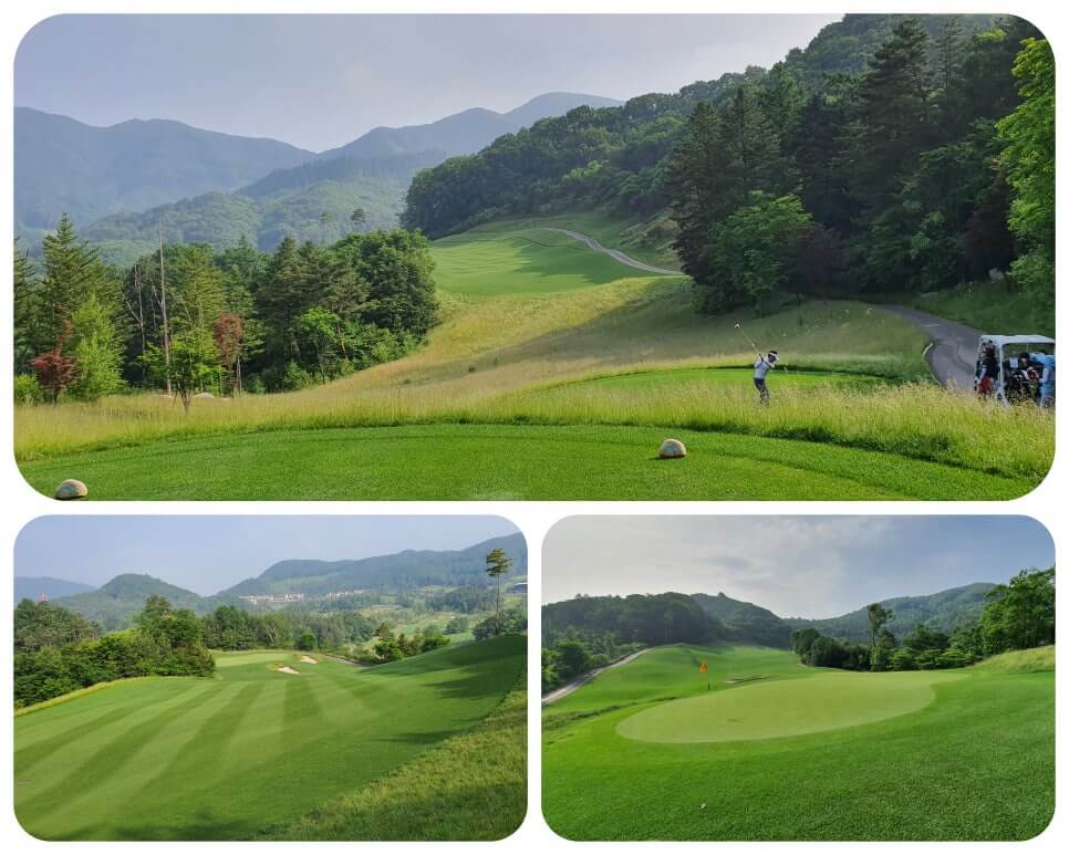 골프장 경험담 홍천 세이지우드cc 사람이 가장 쾌적함을 느끼는 해발 765m에서 경험하는 자연, 골프, 쉼