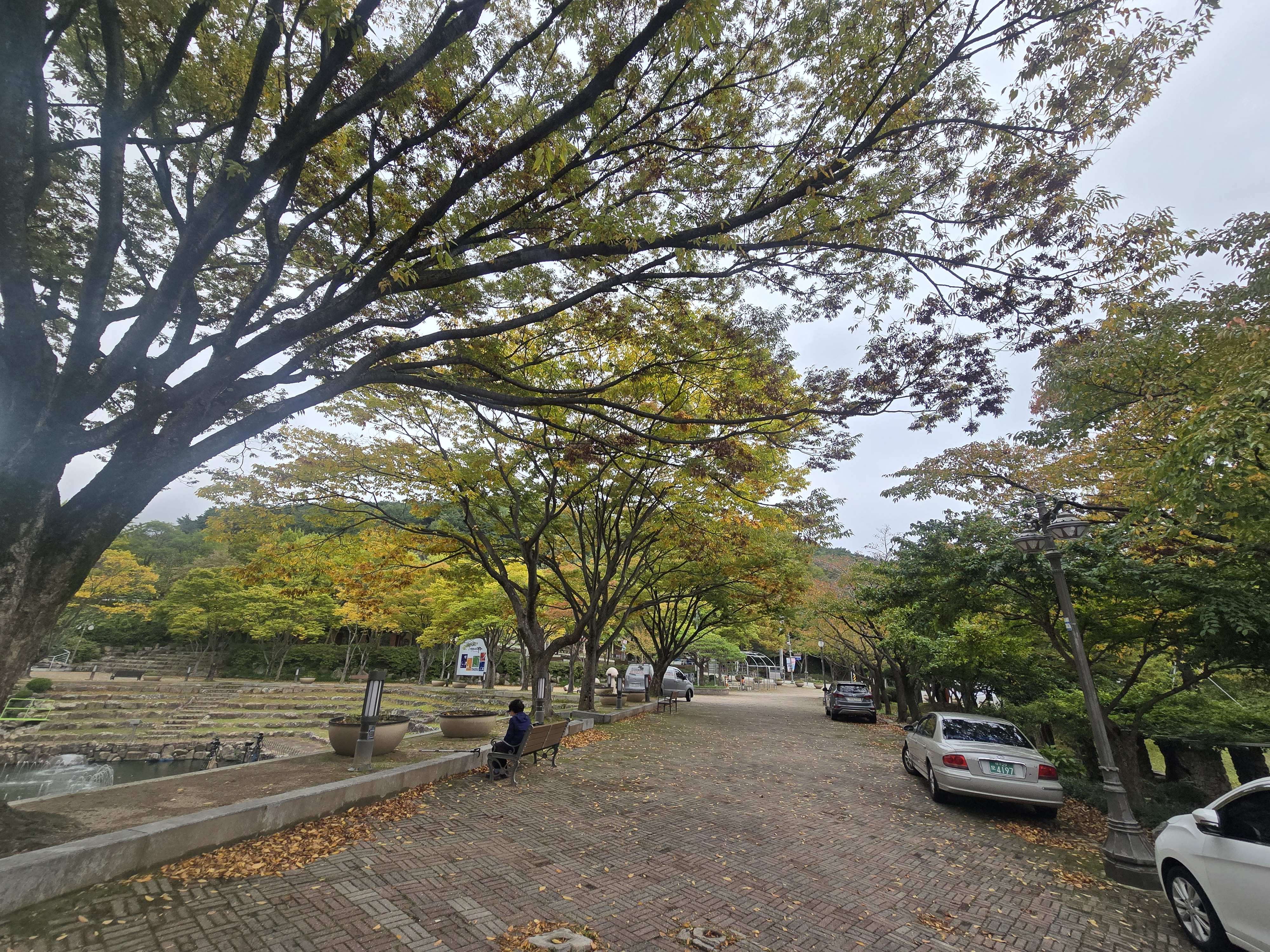 대구근대골목