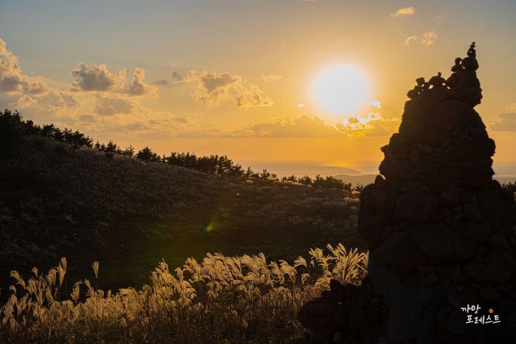 제주 금오름 억새 풍경