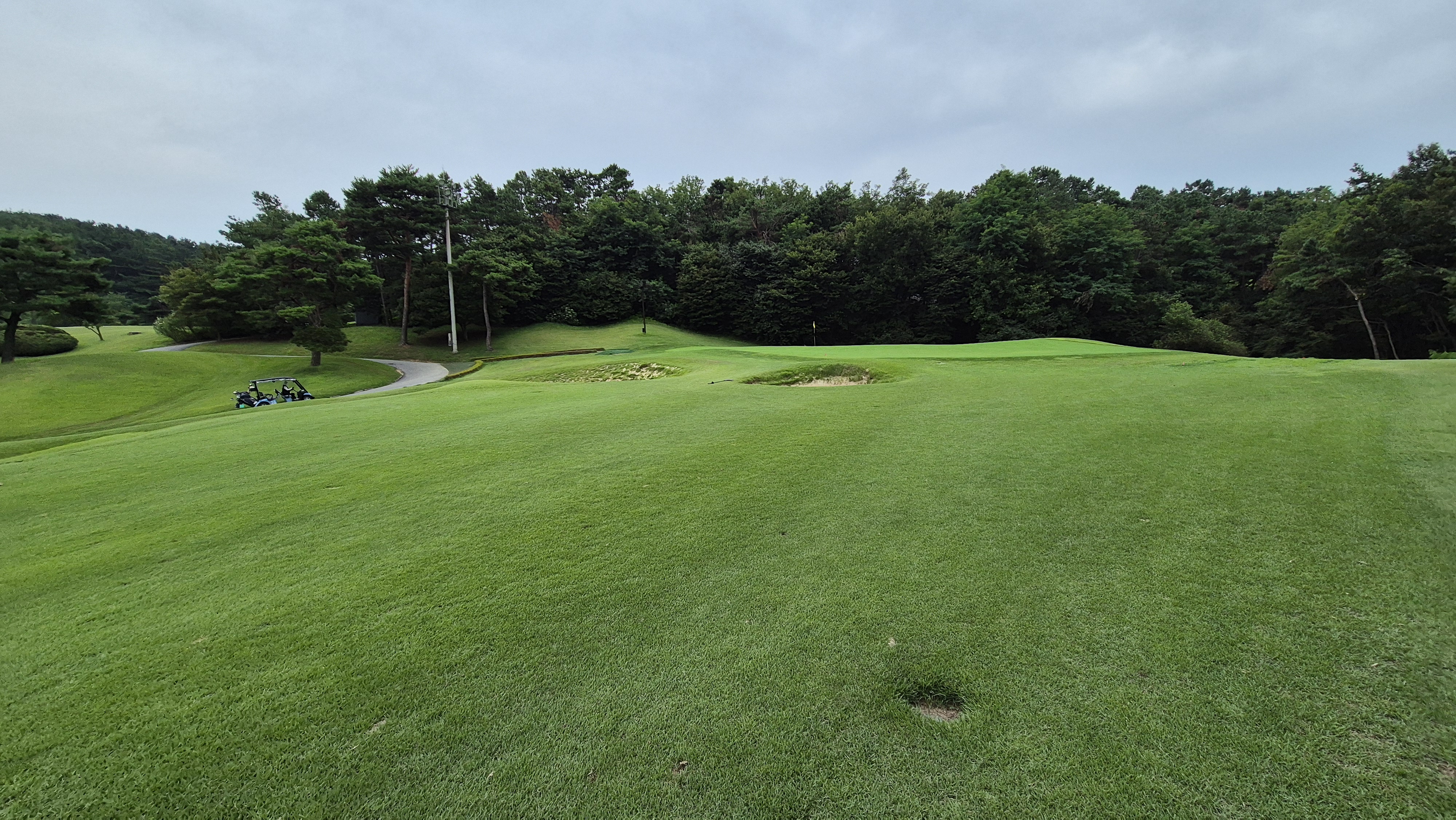 한림용인cc 다이아몬드-사파이어 코스 사진 및 공략 정보