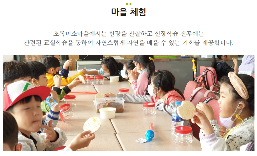 생방송투데이 쌀겨 효소 발효 찜질 반려견 힐링체험 초록미소마을 정보