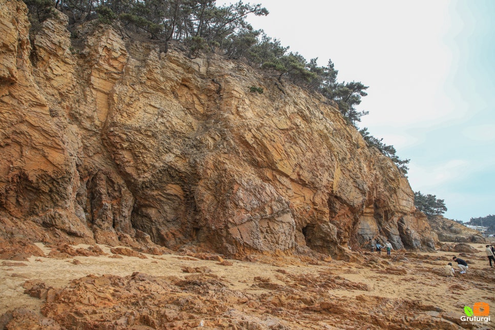 태안 가볼만한곳 베스트10