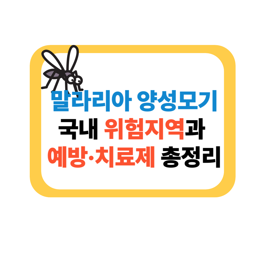 말라리아 양성모기 경보! 국내 위험지역과 예방·치료제 총정리