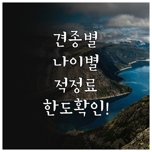 견종 나이별 강아지 보험료 적정선과 ..