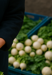 무생채 맛있게 하는법