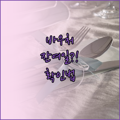 교육급여 바우처 포인트 유효기간과 잔..