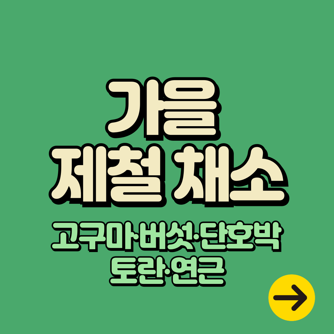 가을 제철 채소 6가지 – 효능부터 요리법까지 한눈에 정리