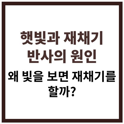 햇빛을 보면 재채기가 나는 과학적 원인과 광반사재채기 반사 현상 설명