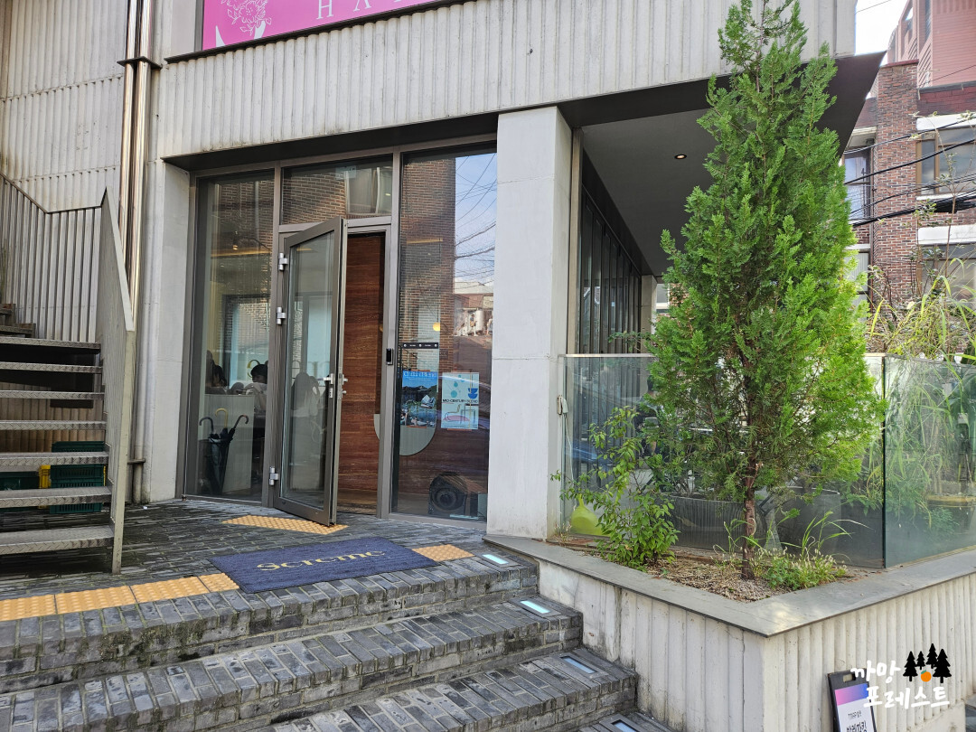 스크렘 신논현역