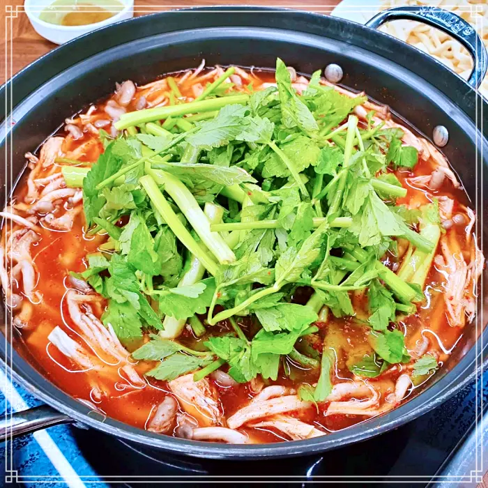 TJB 생방송투데이 김해, 인제대 샤브샤브 손칼국수 맛집