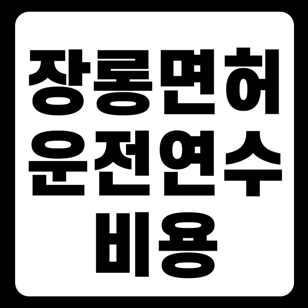 장롱면허 운전연수 비용 및 커리큘럼(+2024)