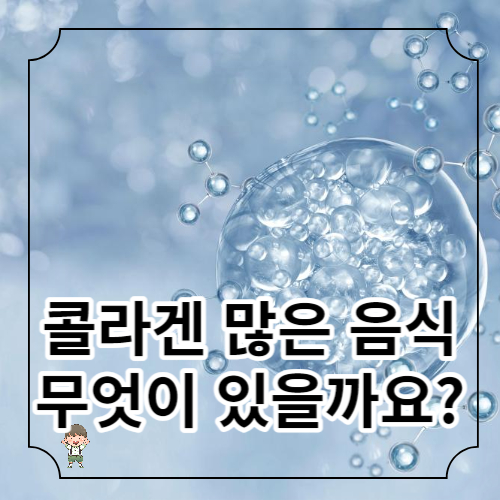 콜라겐이 풍부한 식품