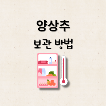 양상추 보관 방법