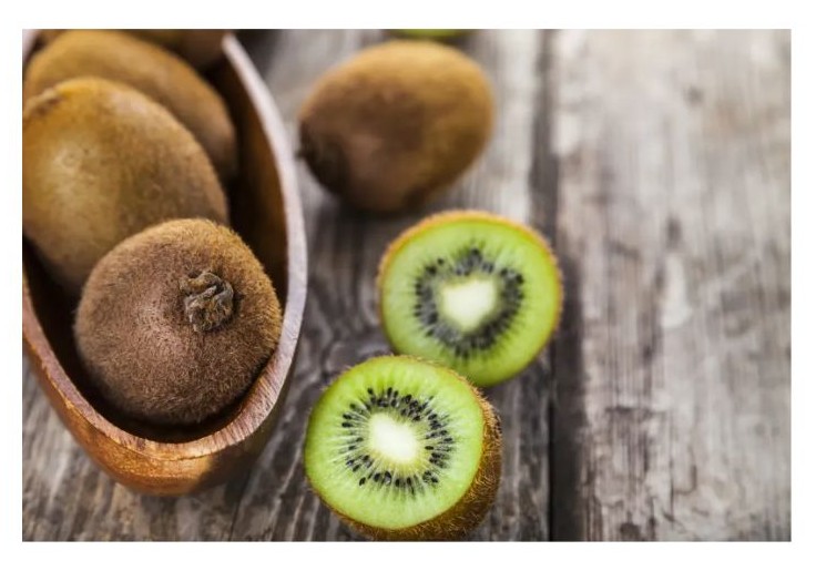 키위 이미지