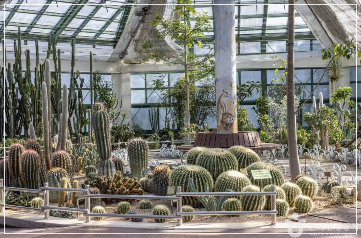 청주 가볼만한곳 베스트10 미동산수목원