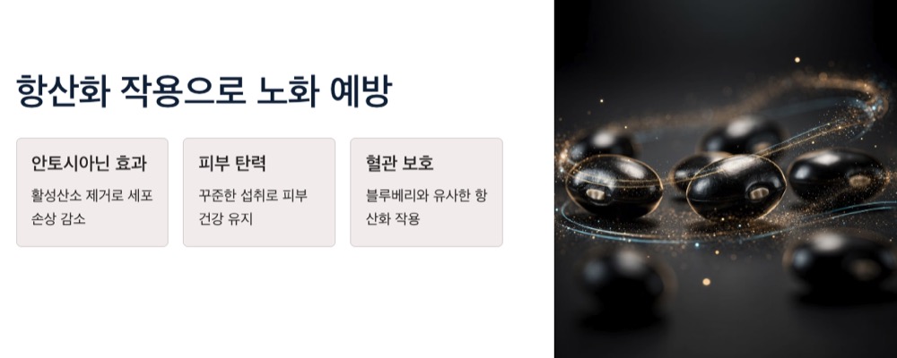 검은콩 노화예방