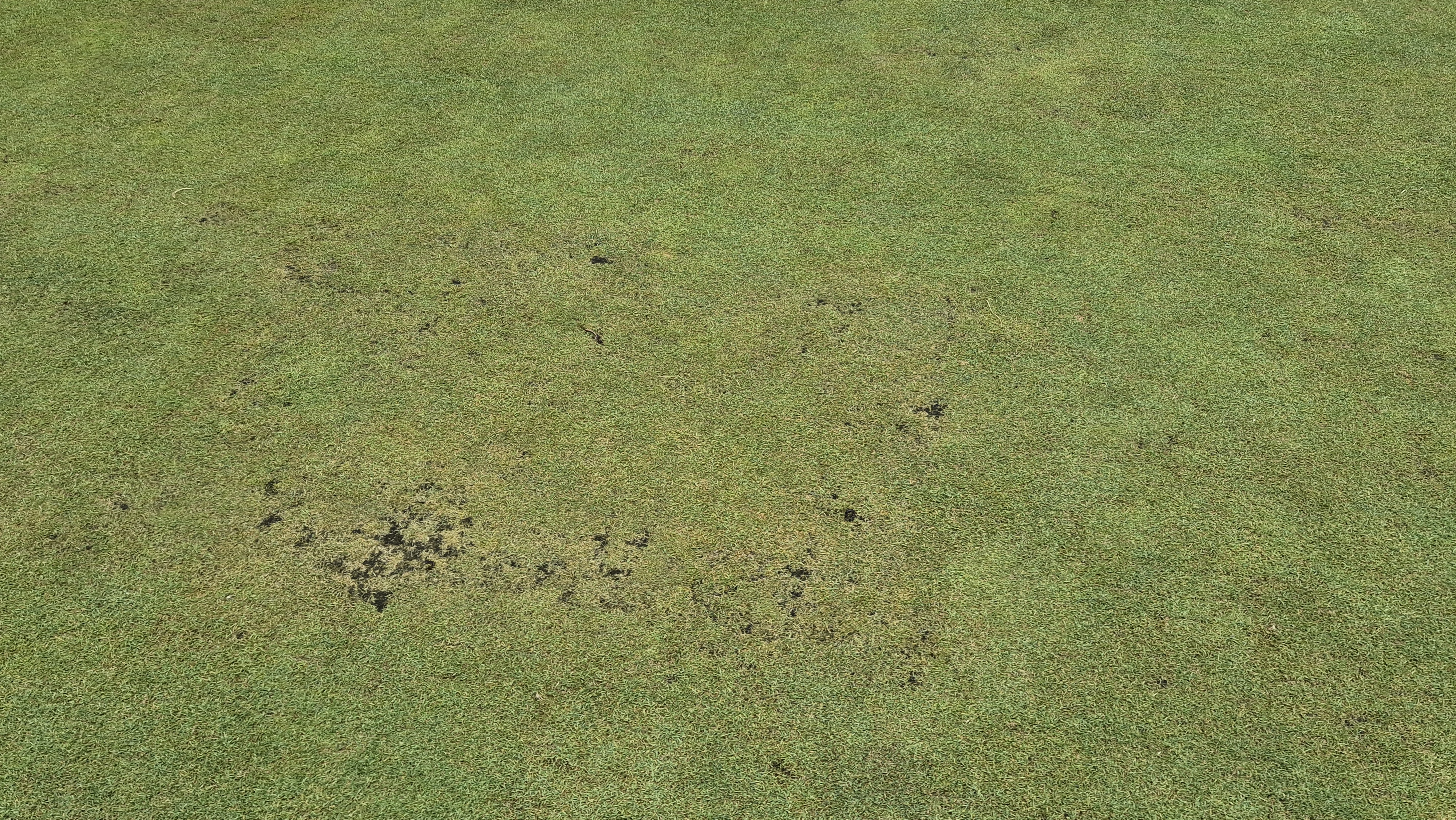 센테리움cc 스코틀랜드-웨일즈 코스 라운드 후기