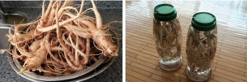 도라지주-담그는법-도라지-담금주-담그기