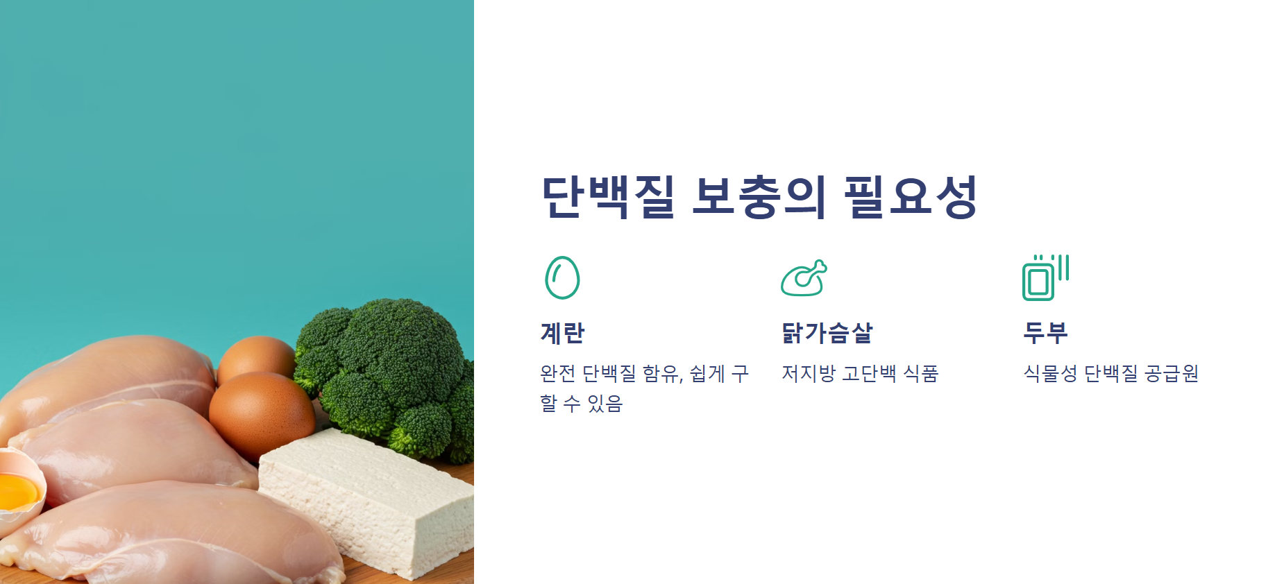 단백질 보충의 필요성
