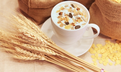 귀리 - 장건강에 좋은 음식