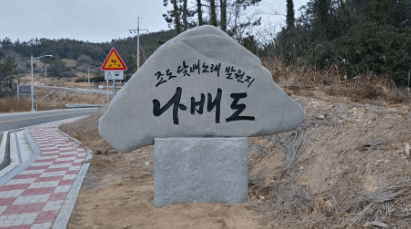 [6시 내고향] 진도 조도 장어탕 맛집 대성식당&amp;#44; 나배도 농어 택배 주문
