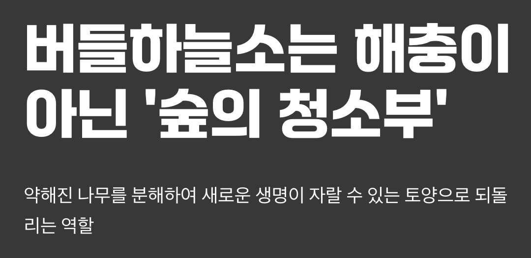 4. 숲의 청소부, 자연의 순리