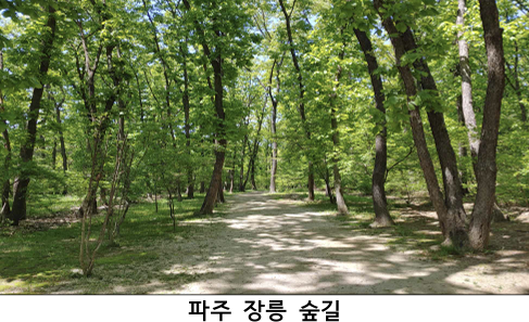 파주 장릉