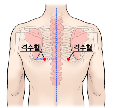 격수혈 위치