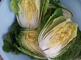 2025년 절임배추 사전예약 꿀팁!