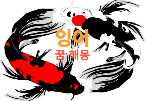 잉어꿈 태몽, 잉어 잡는 꿈, 잉어가 나오는 꿈 해몽 총정리