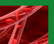 심혈관질환예방