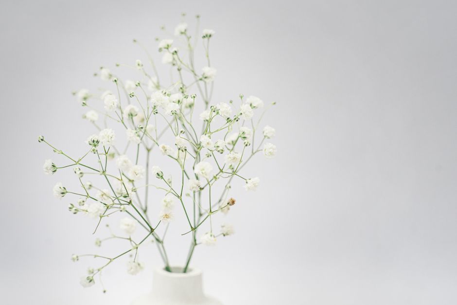 Elegant minimalist arrangement of baby's breath flowers in a white vase against a soft background.