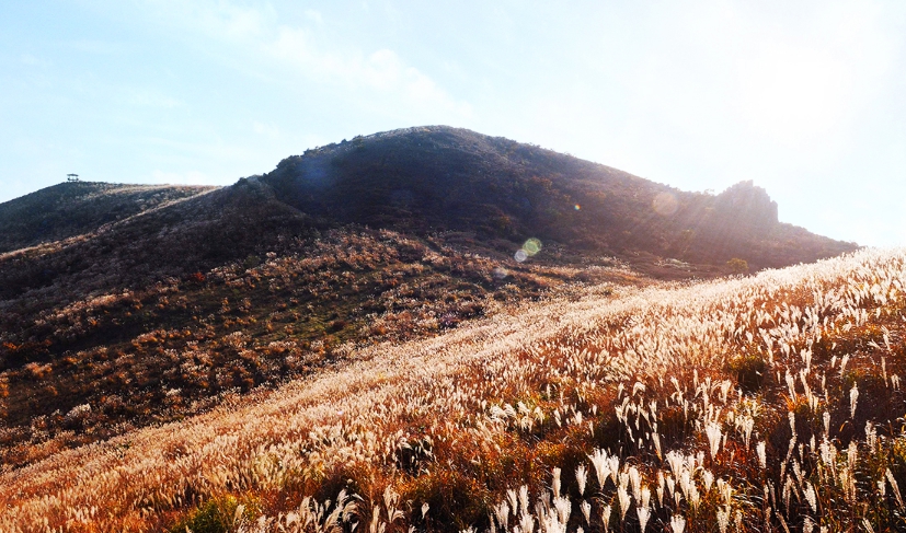 황매산 군립공원 억새축제