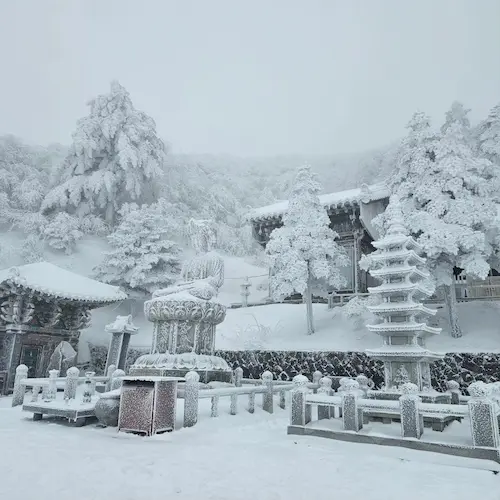 정선과 가까운 태백산의 설경도 환상적입니다