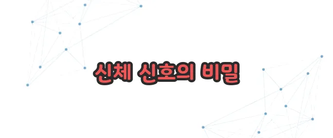 마그네슘 부족현상 이보다 자세히 설명할순없다