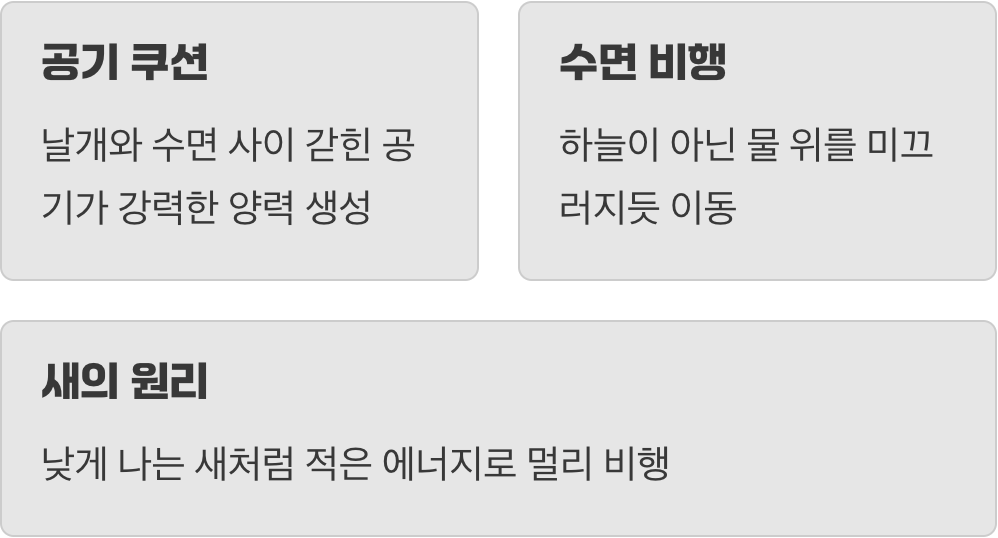 바다 위를 스치는 공기 쿠션의 비밀