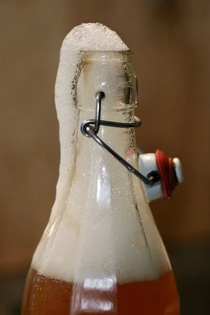 카무트 효소 부작용 효능 먹는법_5