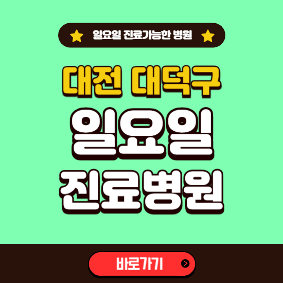 대전 대덕구 일요일 진료 가능한 병원 ❘ 주말 문여는 곳 총정리 (소아과, 내과, 안과, 치과, 피부과, 정형외과, 산부인과)