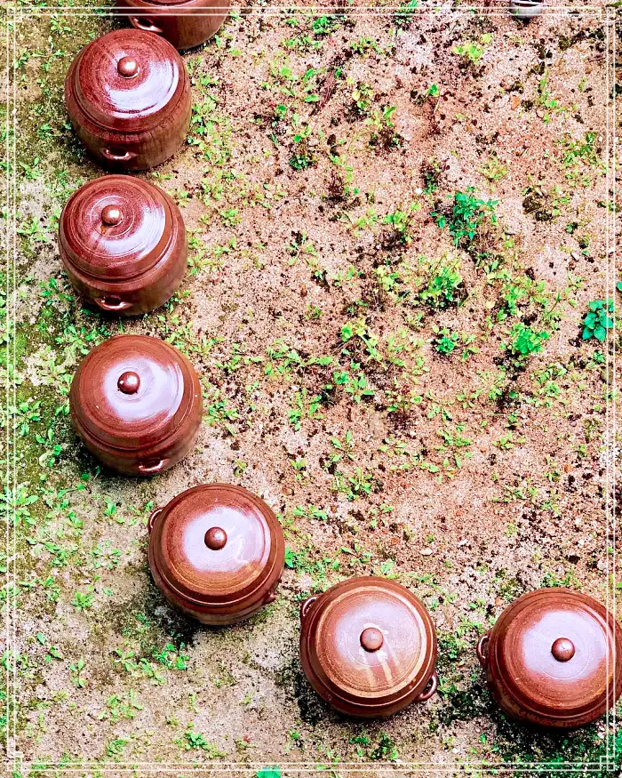 생방송 오늘저녁 경남 산청 지리산 힐링 티테라피 약초차 맛집