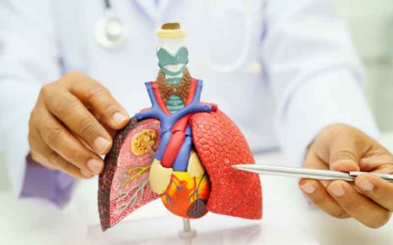 간암 치료법, 보호자의 역할, 관리와 예후