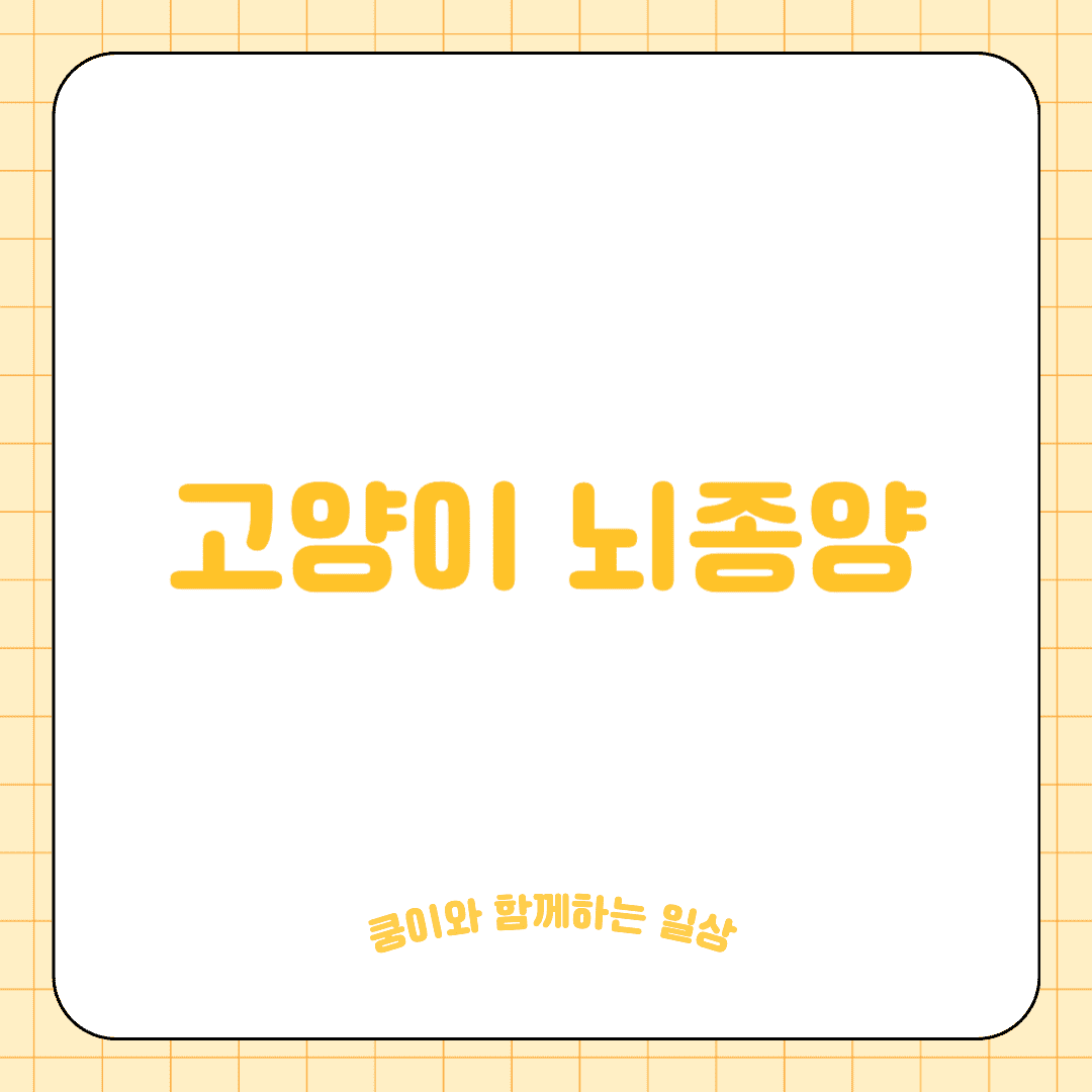 고양이 뇌종양(Brain Tumors)