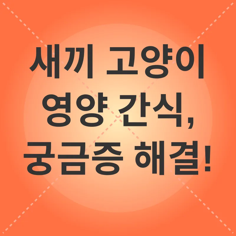 새끼 고양이 영양 간식_4