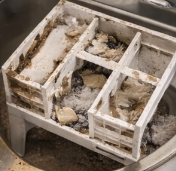 세탁기 청소하는방법