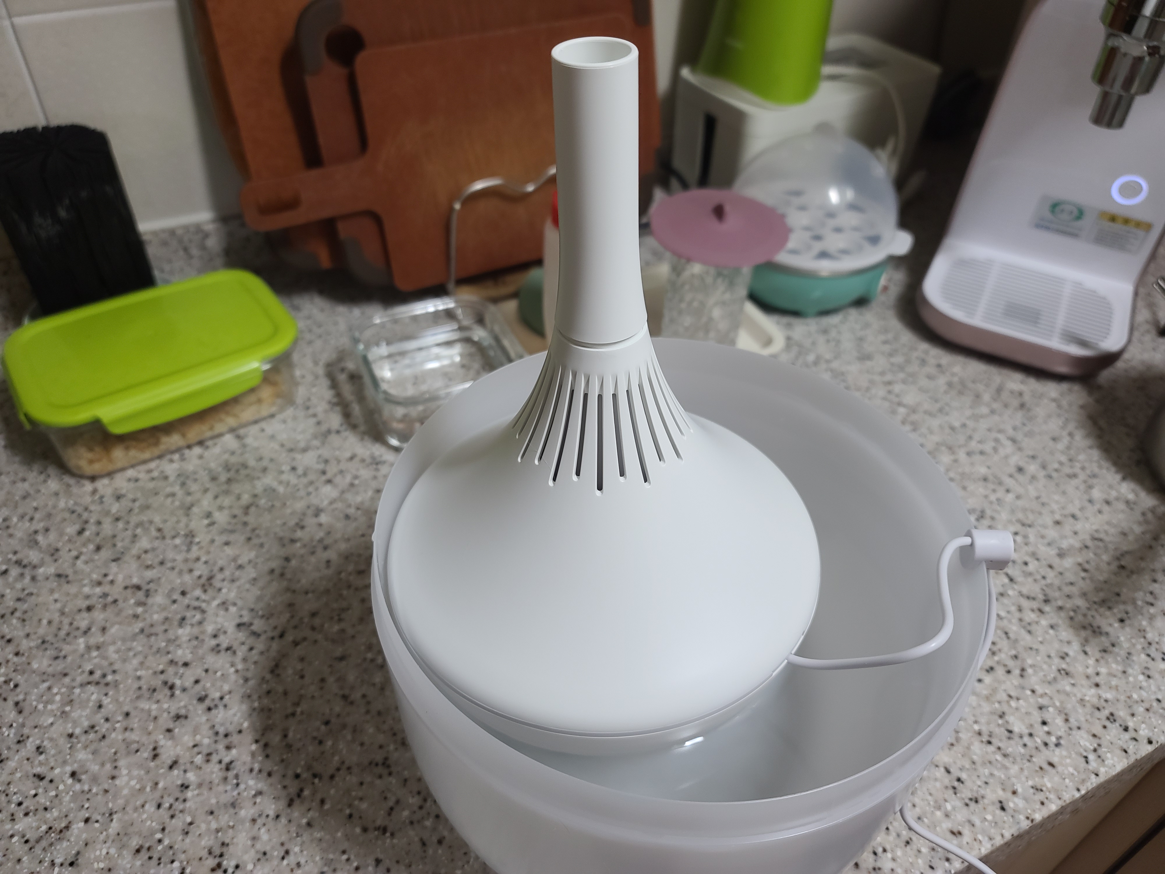 고양이들을 위해 청소하기 쉬운 대용량 가습기를 샀다 (feat.가습기모델 다다)