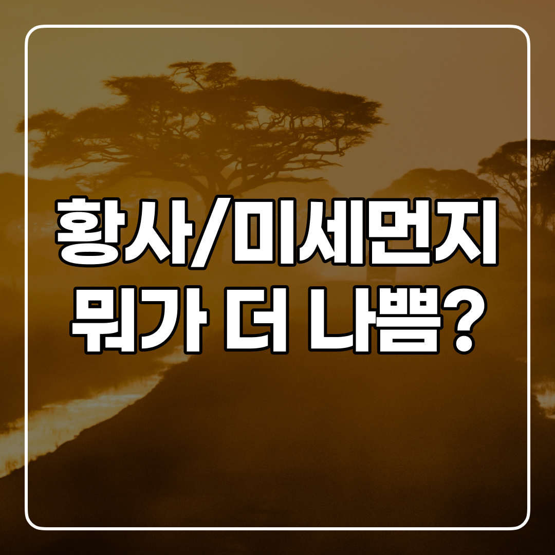 중국 황사